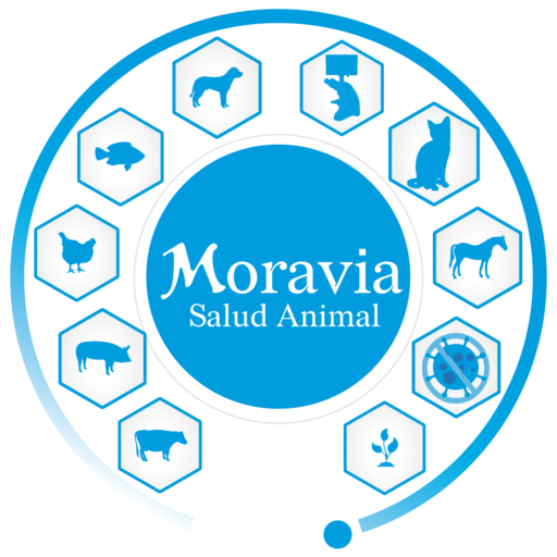 Inversiones Moravia S.A.